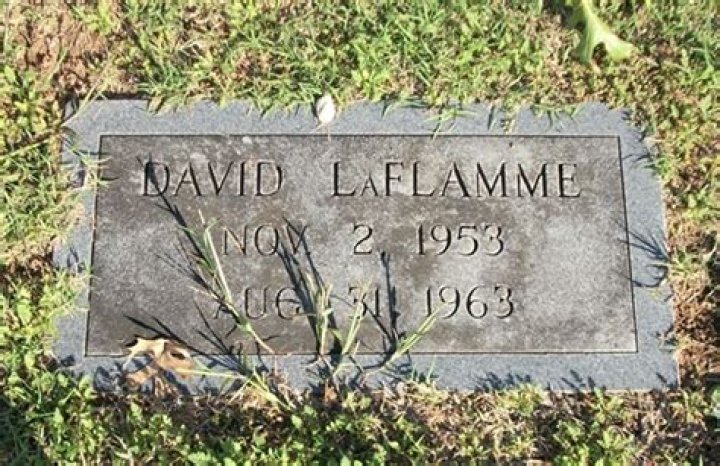 David LaFlamme biografía, edad, altura, esposo, net worth, familia