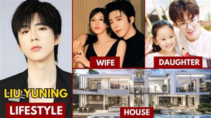 Kinue Hitomi biografía, edad, altura, esposa, net worth, familia